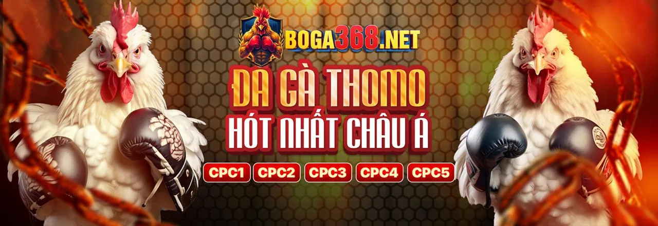 Bảo mật nền tảng td88 casino
